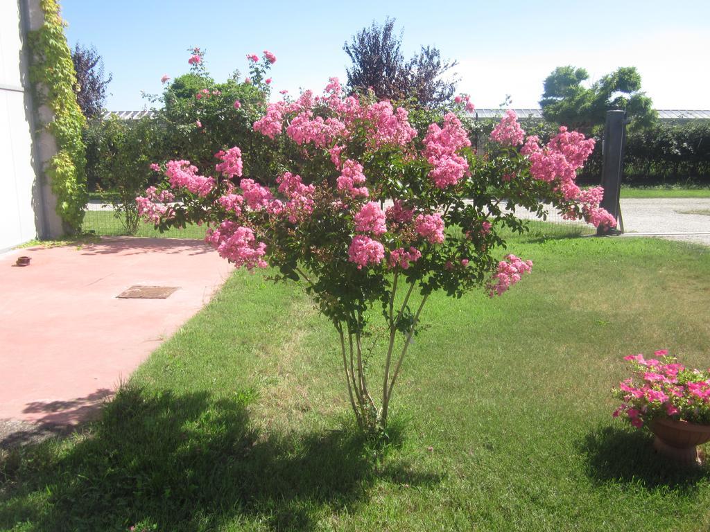 Al Casale B&B Cherasco Exterior photo
